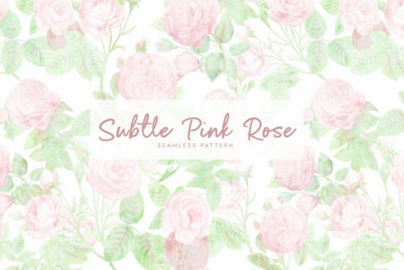 Download Subtle Pink Rose - Pin Collection